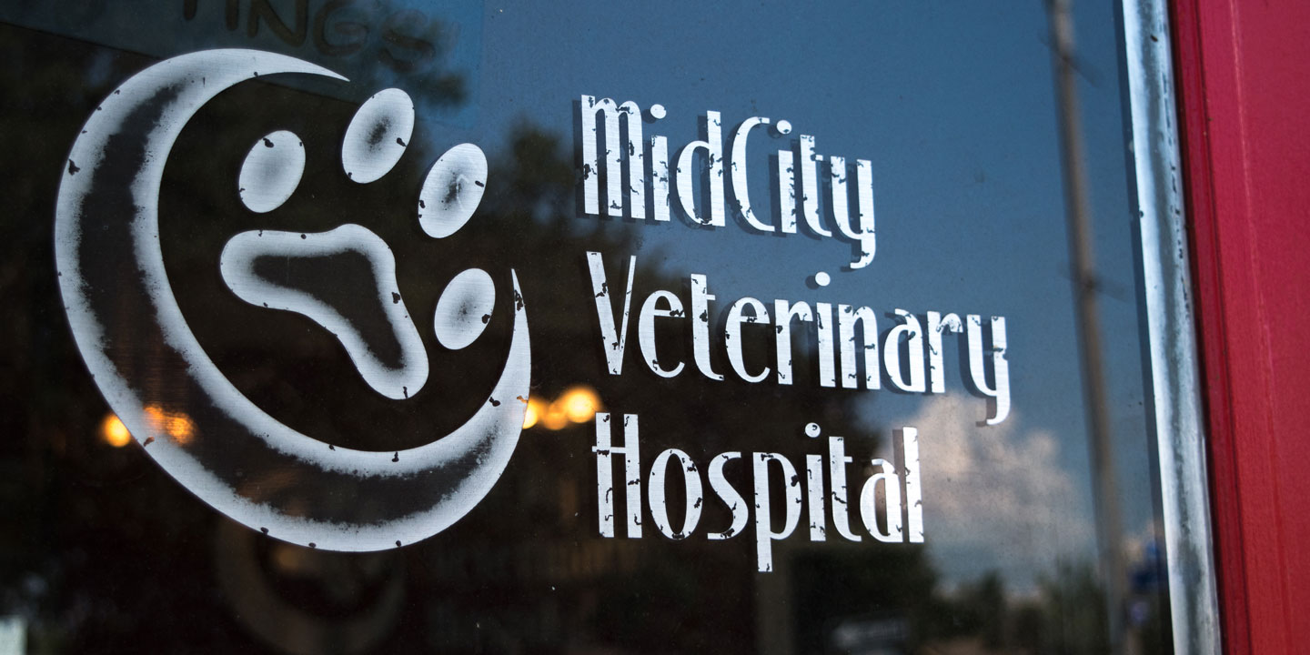 Entrance door glass with MidCity Veterinary Hospital logo.
